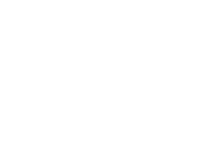 Patent Icon